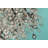 Leonia 1 - Light Single Pendant