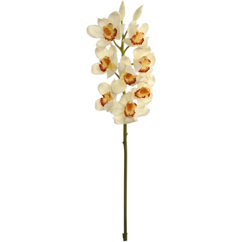 Tige d'orchidée 30 "Cymbidium 30" - paquet de 3