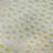 Premium Machine Washable Prisco Aloe Rug-1456334407