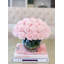 Roses in Vase-1253783696