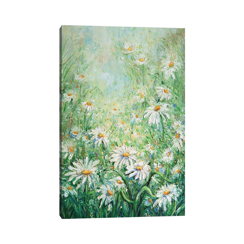 Summer Daisies by Vlada Koval - Painting on Canvas, 20.32 cm H x 30.48 cm W, Wrapped Canvas