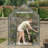 Miracle-Gro® Mini Greenhouse 4 Ft. 8 In. X 29 In. X 6 Ft. 5 In.-124746736
