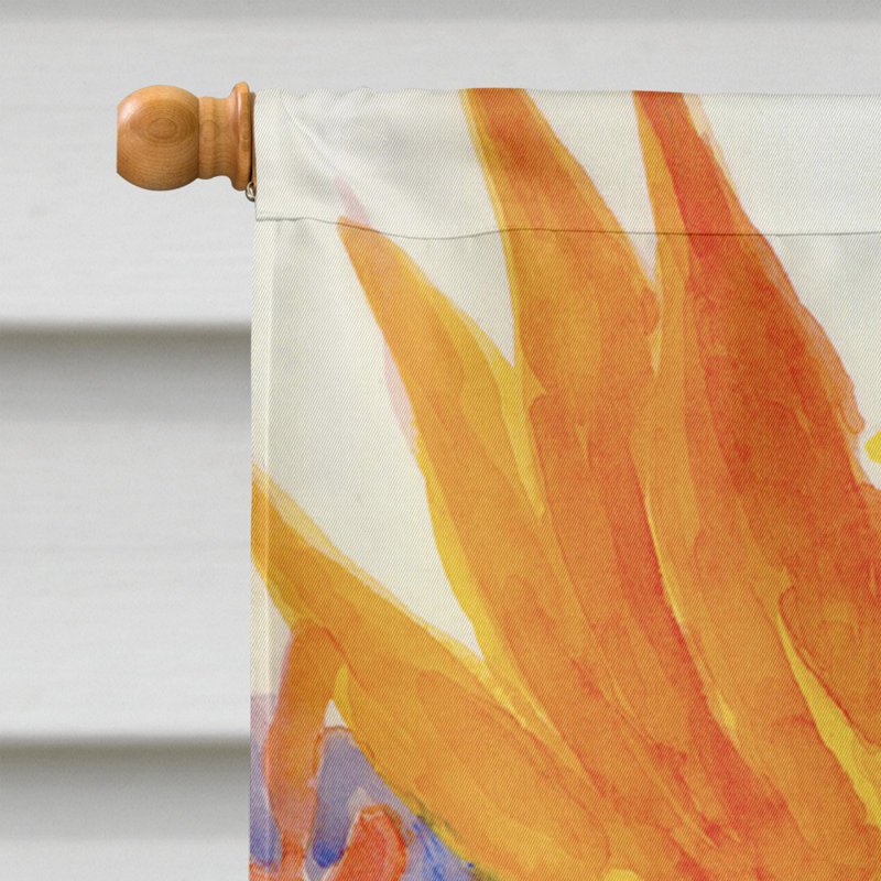 Campana Double Sided 40'' H x 28'' W Polyester House Flag