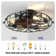 20" Low Profile Caged Flush Mount Ceiling Fan With Light Kit and Remote Control, 6-Speed Reversible