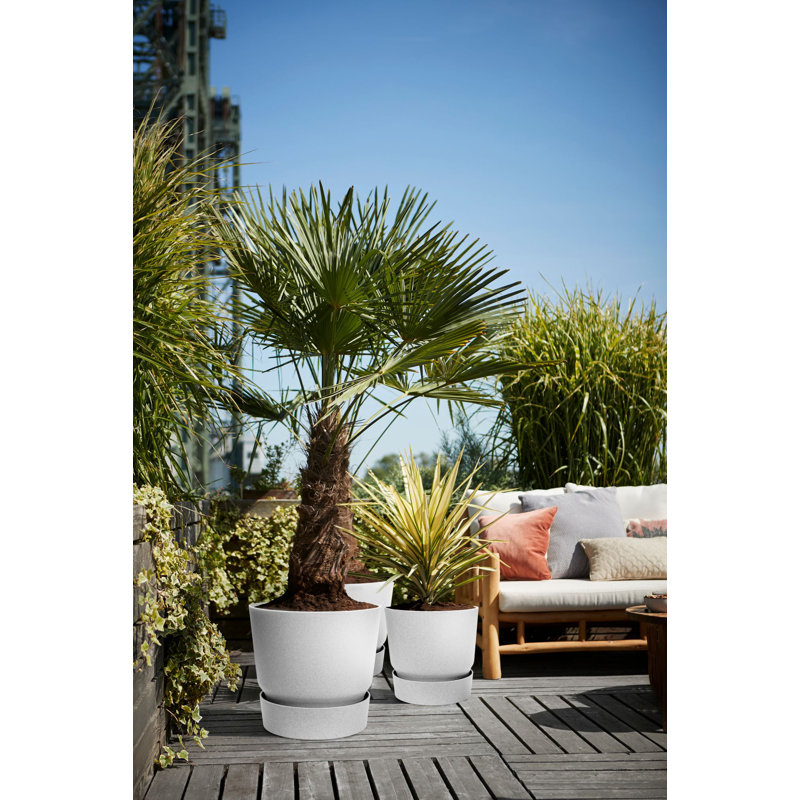 Greenville Planter, 27.8 cm H x 29.5cm W x 29.5cm D, Living Concrete