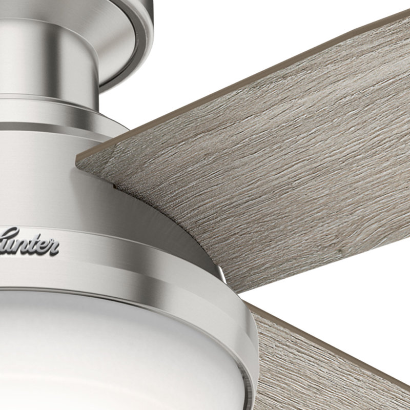 Ventilateur de plafond avec lumières DEL Pollman, Bois naturel