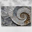 Plaster Dreams V -Galerie enveloppée Cavas-208541895