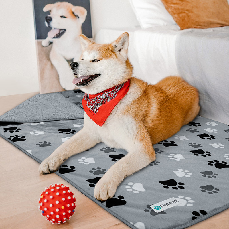 Fleece Polyester Pet Blanket, 24" x 32"