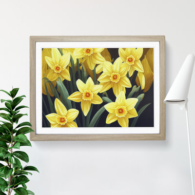 Ultimate Daffodil Flowers - Framed Print