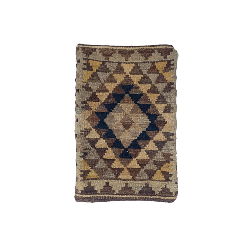 Durfee Indoor / Outdoor Geometric Rectangular Cushion Cover