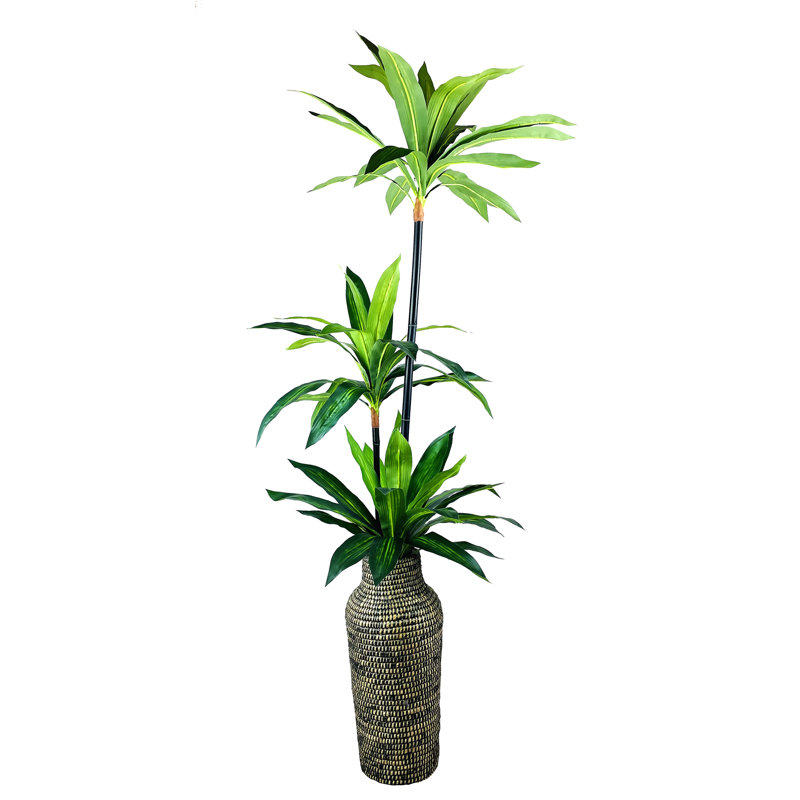 72 po Faux Dracaena