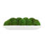 Moss Preserved in Oblong Planter-2127157689