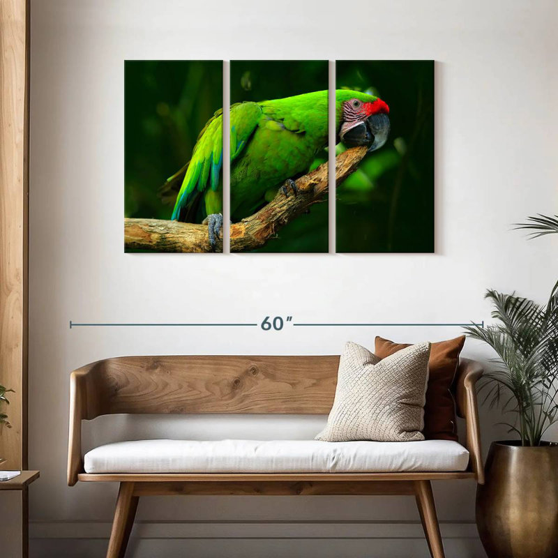 Brampt Military Macaw, 28" H x 45" W