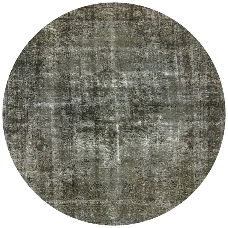 Meinard Oriental Indoor Rug, Round 4'