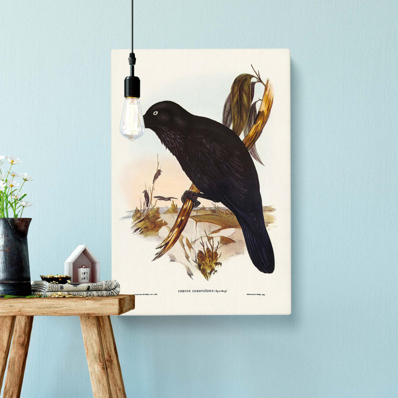 White Eyed Crows by Elizabeth Gould - Wrapped Canvas Print, 60cm H x 40cm W x 3cm D