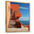 Gold Floater Framed