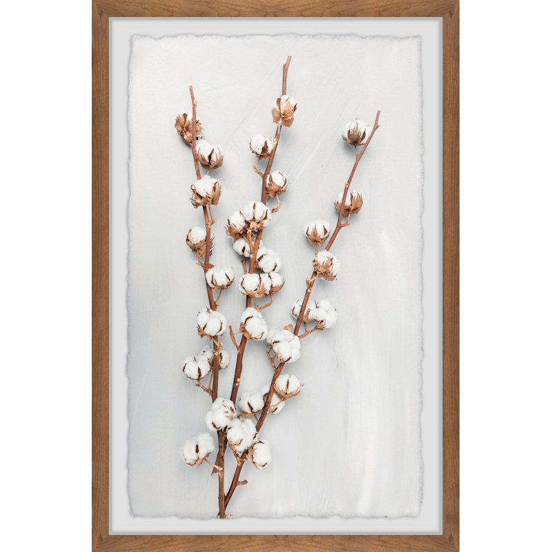 " Cotton Plant " by Marmont Hill, 12" H x 8" W x 1.5" D