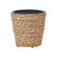 Niwot Plant Pot