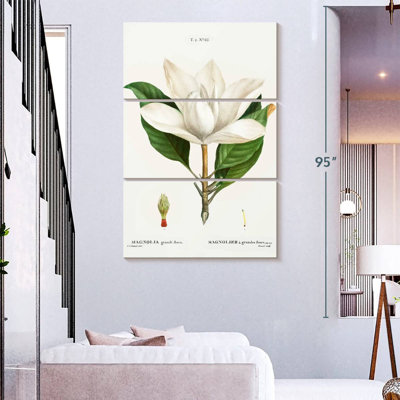 Harnek Magnolia du Sud