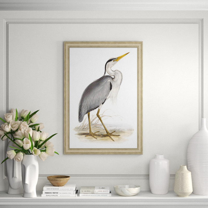 Coastal Ornithology 3' Framed Graphic Art Print on Glass