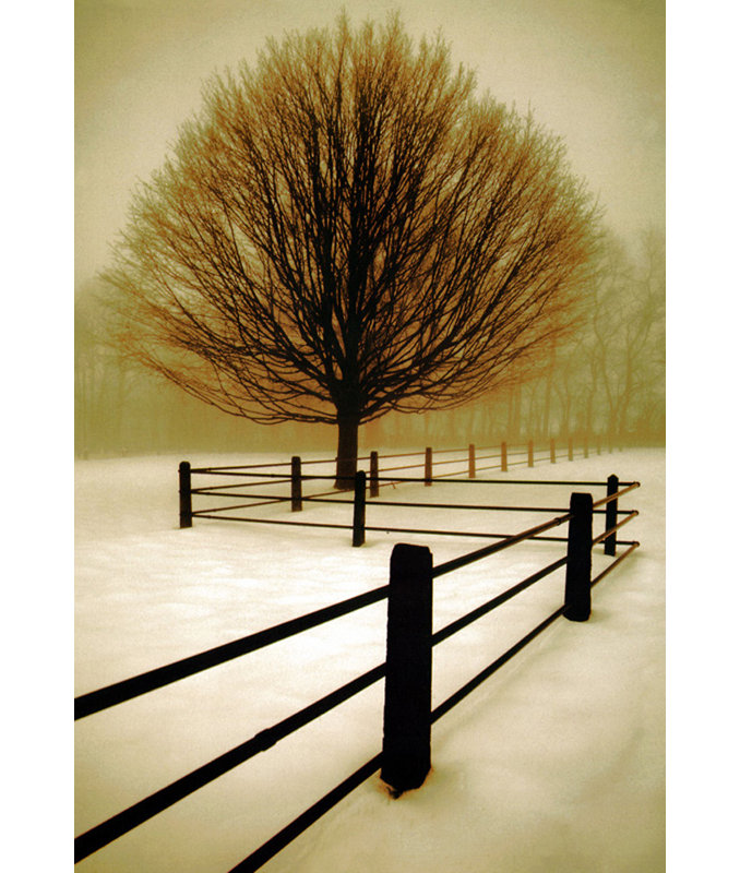 Solitude