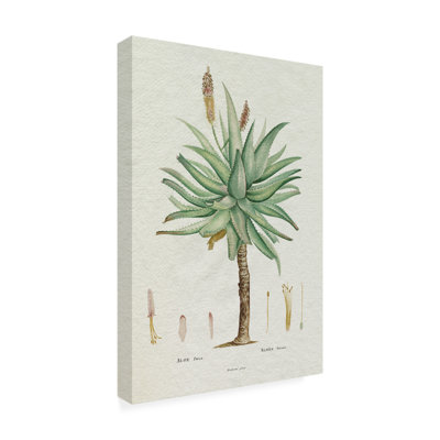 Modern & Contemporary