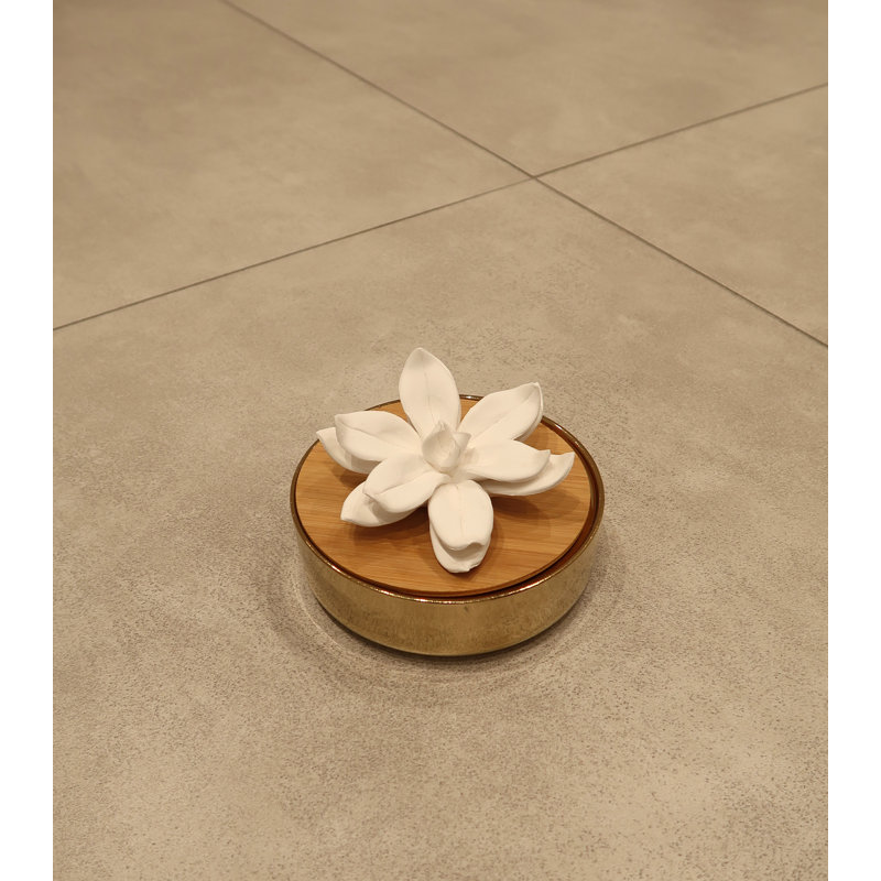 Plant / Floral Diffuser