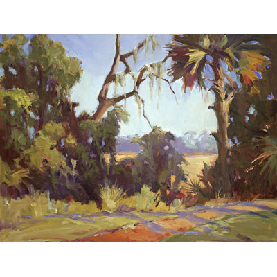 Kiawah Marsh Wetlands Print by John Beard
