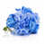 Bleu est en rupture de stock