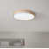 LED Flush Mount