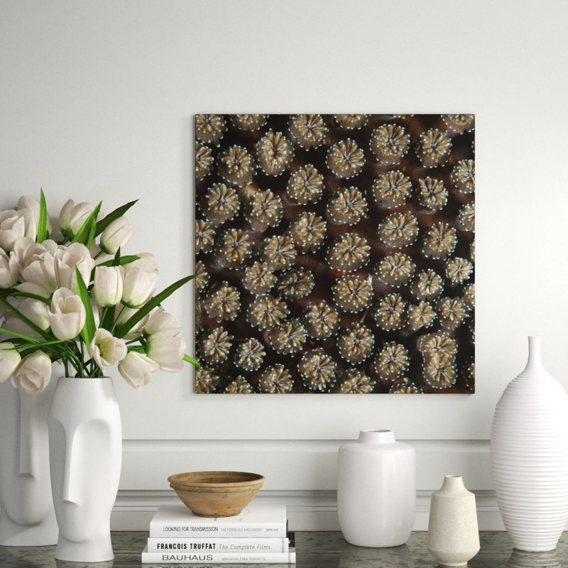 Underwater Beauty II Print by Austin Beiv, Outdoor, 22" H x 22" W x 1.5" D