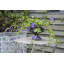 Ortonville Fiberglass Urn Planter