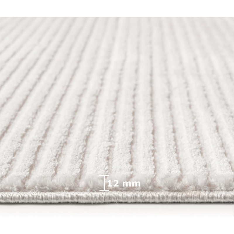 Deshonte Ruglenza Modern Area Rug - Soft Pile Easy Clean Carpet for Living Room & Bedroom, Durable Synthetic Fibre, Stylish Home Decor Rug