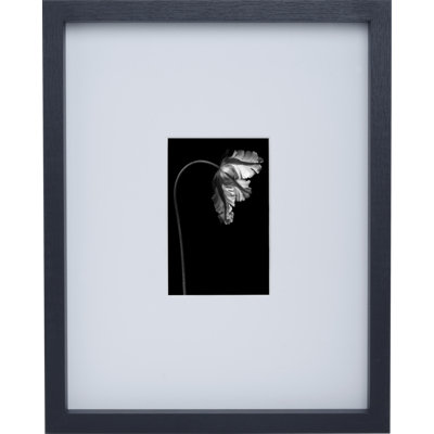Mikasa 12 x 15-Inch Matted Picture Frame