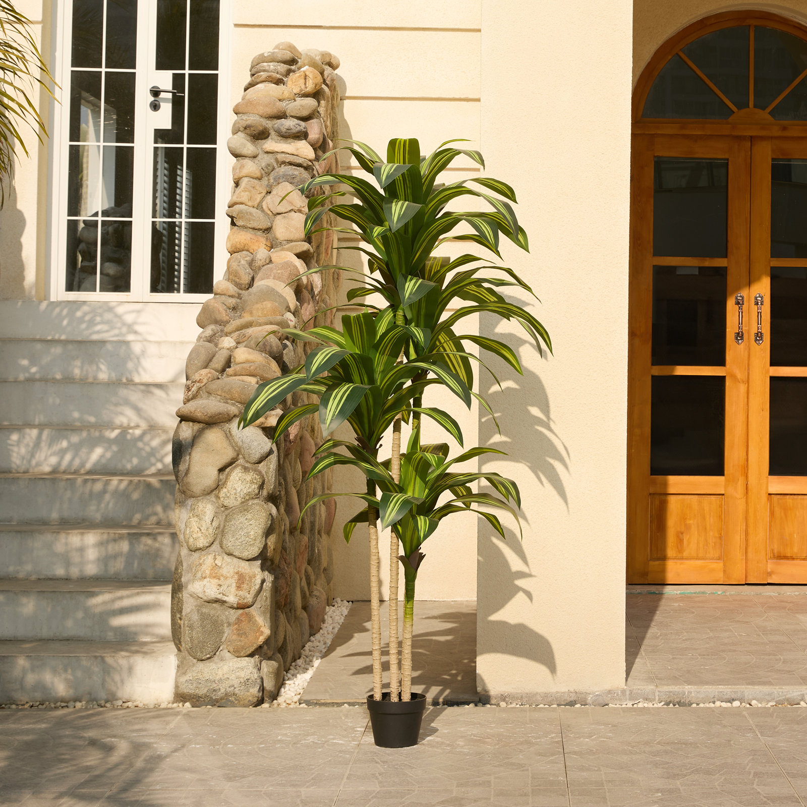 Adcock 72" Dracaena Tree in Pot, Yellow, 72" H x 24" W x 24" D