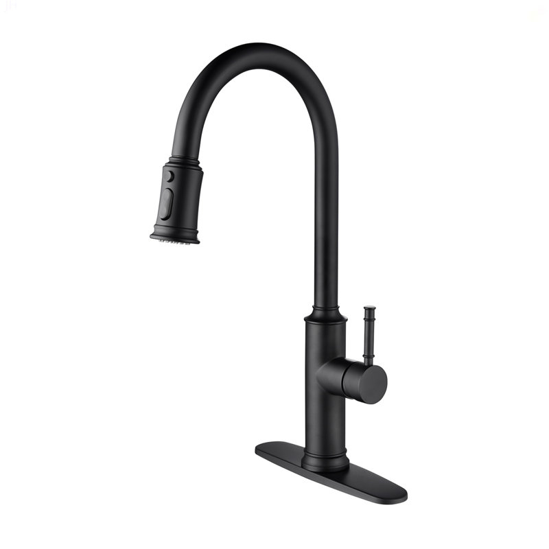 Kitchen Faucet With Pull Out Spraye