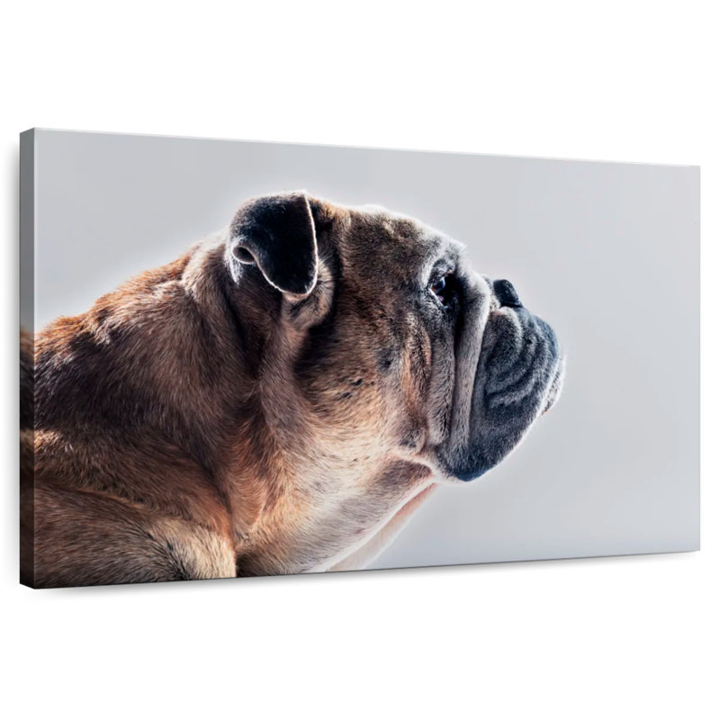 Brampt Dog Side Profile, 34" H x 51" W
