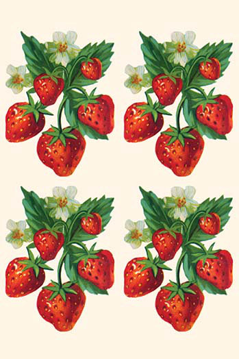 «Four Bunches of Strawberries», reproduction d'art, H 66 po x l 44 po