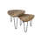Novalee 2 Piece Side Table Set