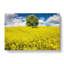Chestnut Tree In Spring - Wrapped Canvas-55370426