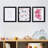 Black Picture Frames with Ivory Mat-788679261