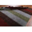 Lenise One-of-a-Kind Rectangle 8'3" X 9'9" New Age Wool Area Rug in