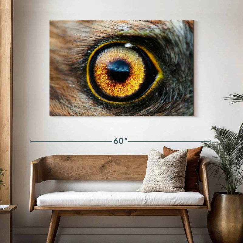 Bird's Eye, 32" H x 48" W