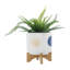 S/2 5/8" FUNKY PLANTER W/ STAND