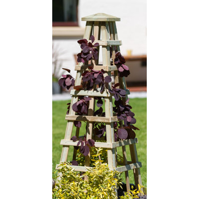 Nahant 120 cm H x 39 cm W Obelisk Trellis
