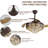 Jernice 42'' Ceiling Fan with LED Lights