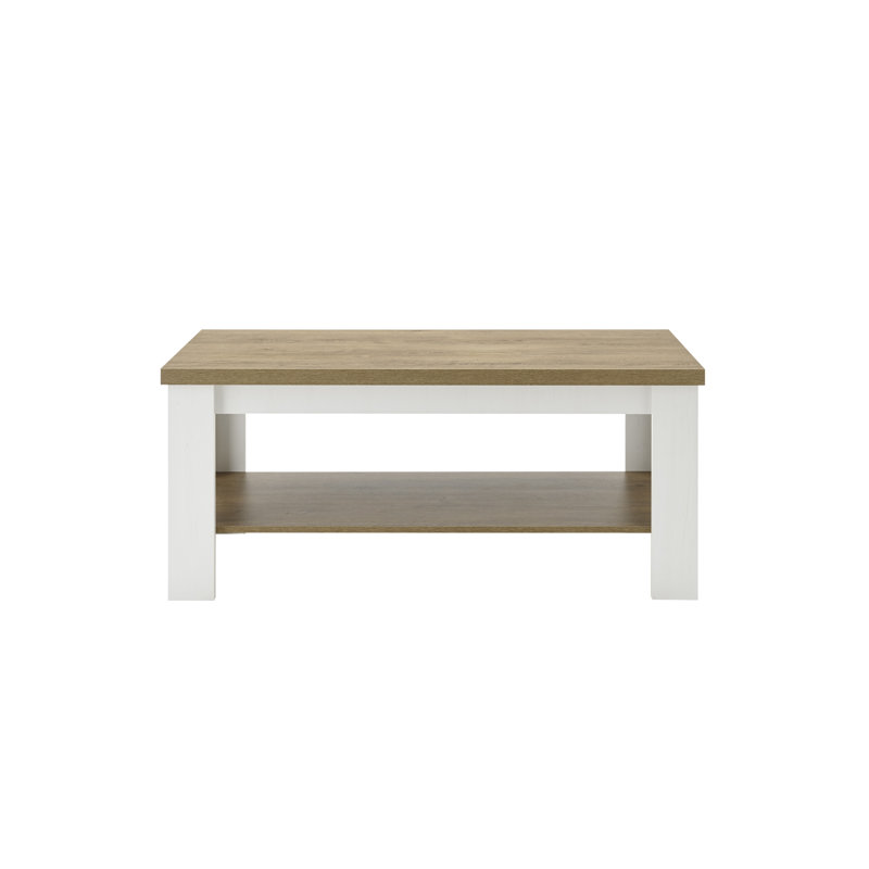 Brasher Solid Wood Coffee Table with Storage