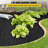 VEVOR Growing Kit