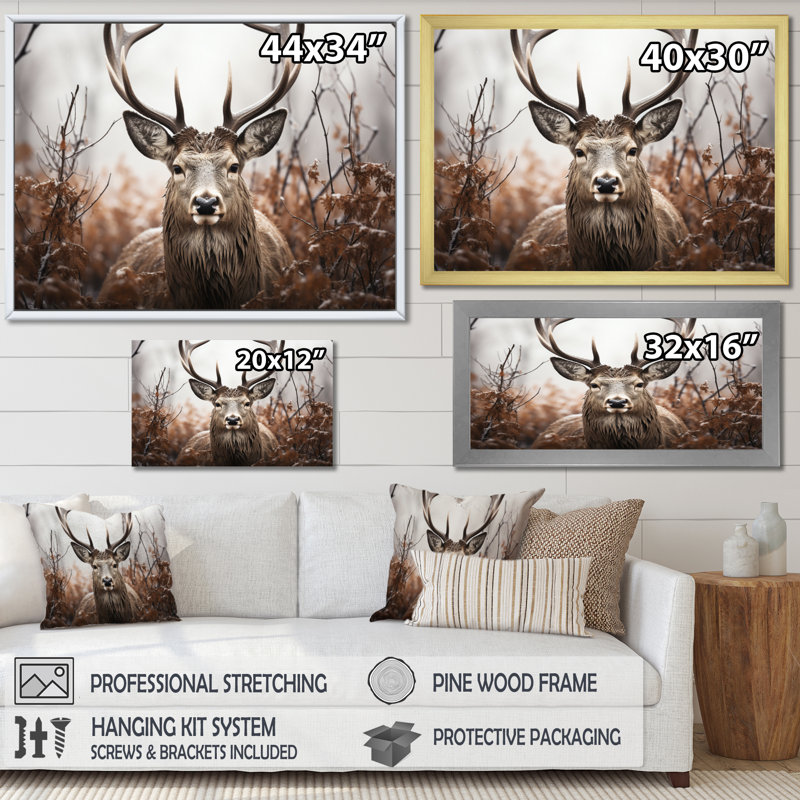 " Deer Monochrome Photography II ", Black Single Picture Framed, 24" H x 32" W x 1" D