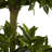 Triple Bay Leaf Topiary Artificial Tree